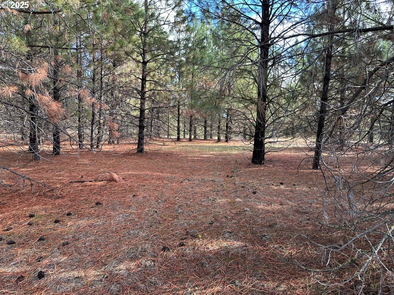 3 Garrison Road Goldendale, WA 98620 - Photo 5 of 9