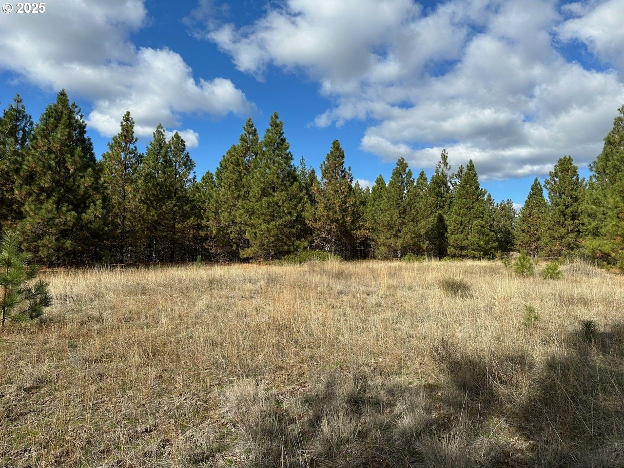 3 Garrison Road Goldendale, WA 98620 - Photo 6 of 9