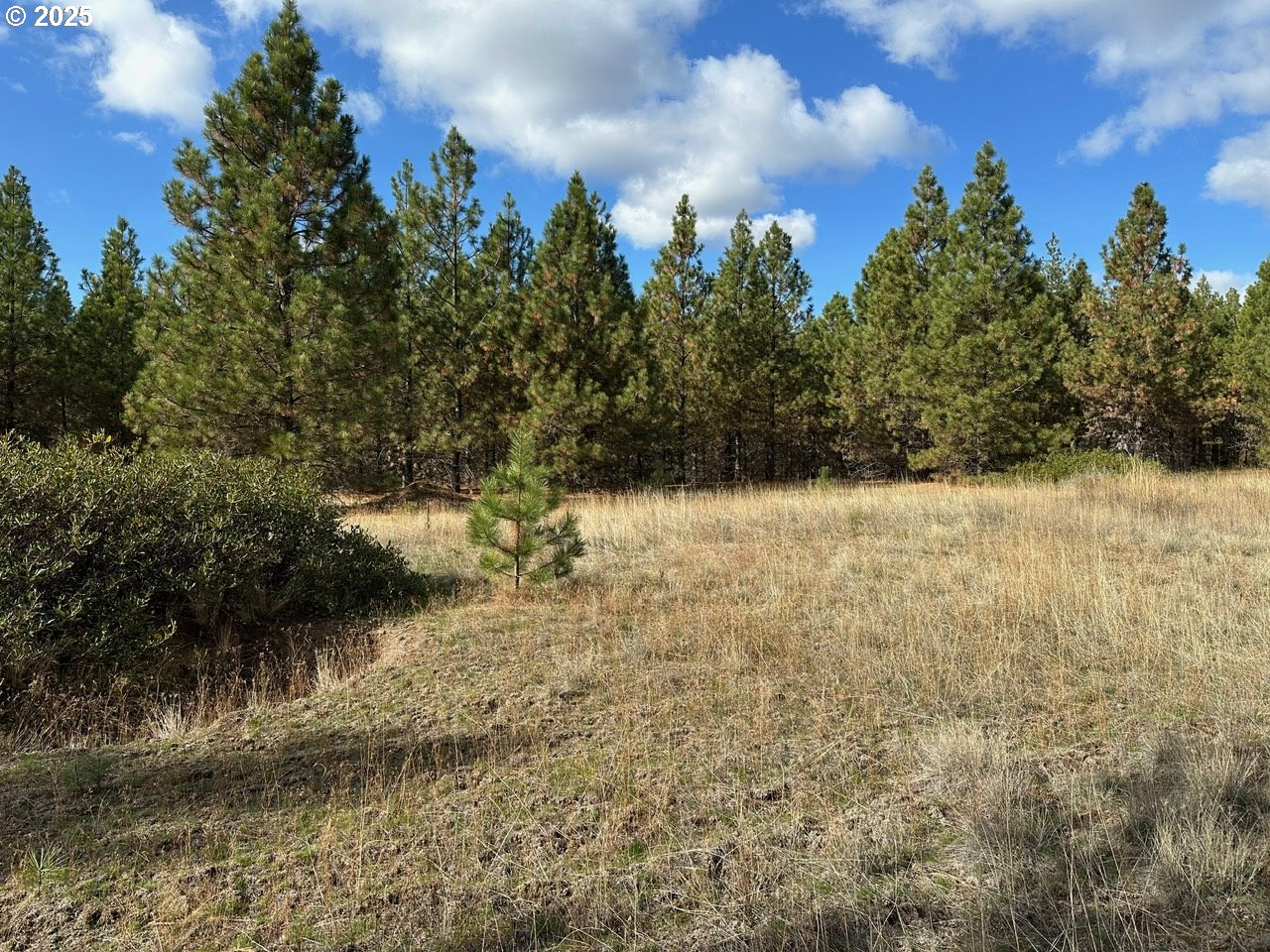 3 Garrison Road Goldendale, WA 98620 - Photo 7 of 9