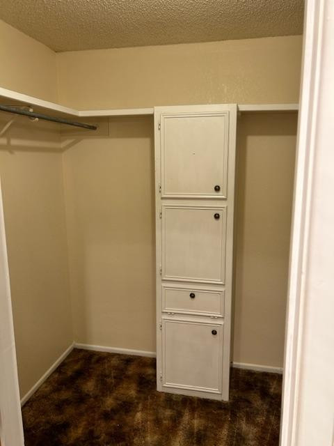 1113 80th Street, Unit B Lubbock, TX 79423 - Photo 10 of 14 a view of walk in closet