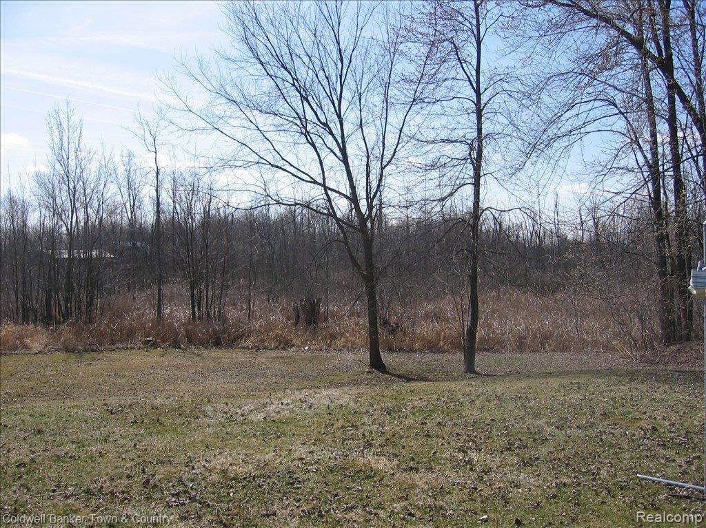 20991 Napier Road Northville, MI 48167 - Photo 6 of 25 IMG_1592