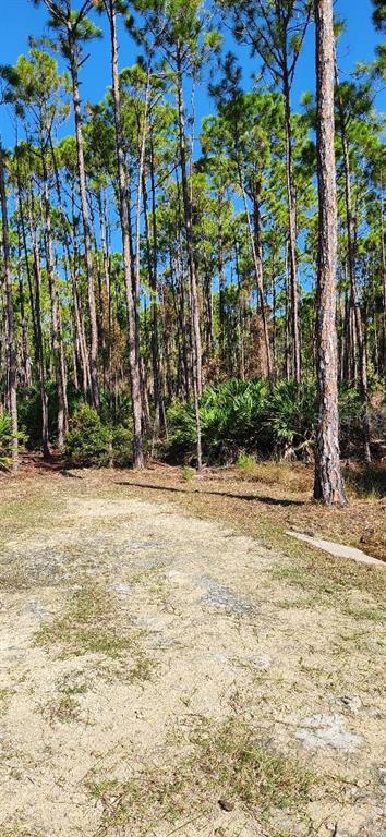 7 Southwest 104th Court Cedar Key, FL 32625 - Photo 7 of 10