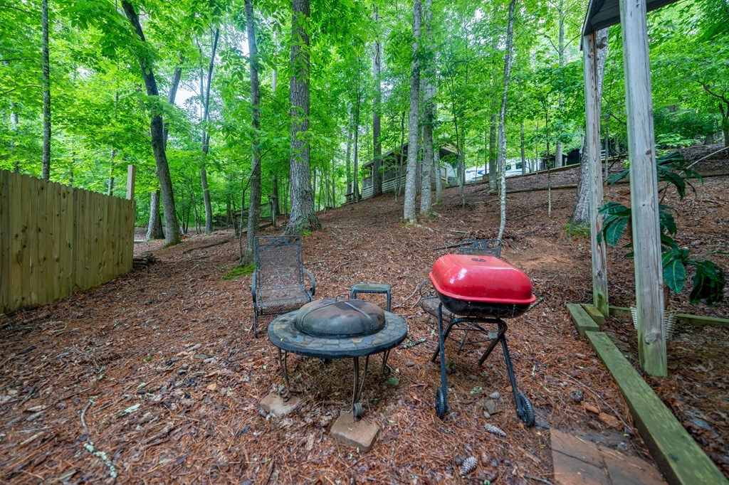 41 27th Street Ellijay, GA 30540 - Photo 10 of 22