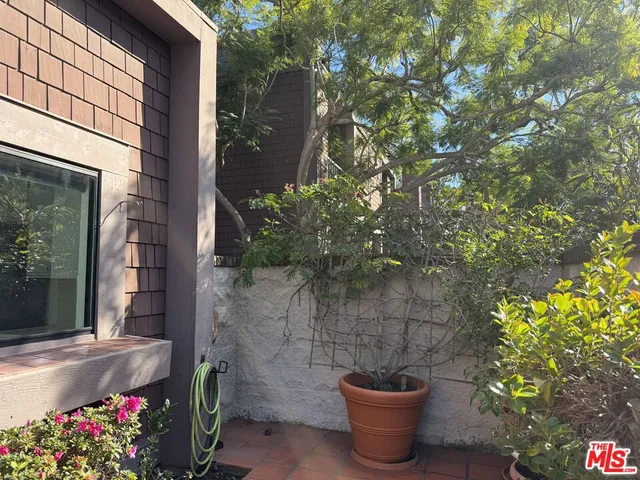 a view of a potted plant sitting in front of a door
