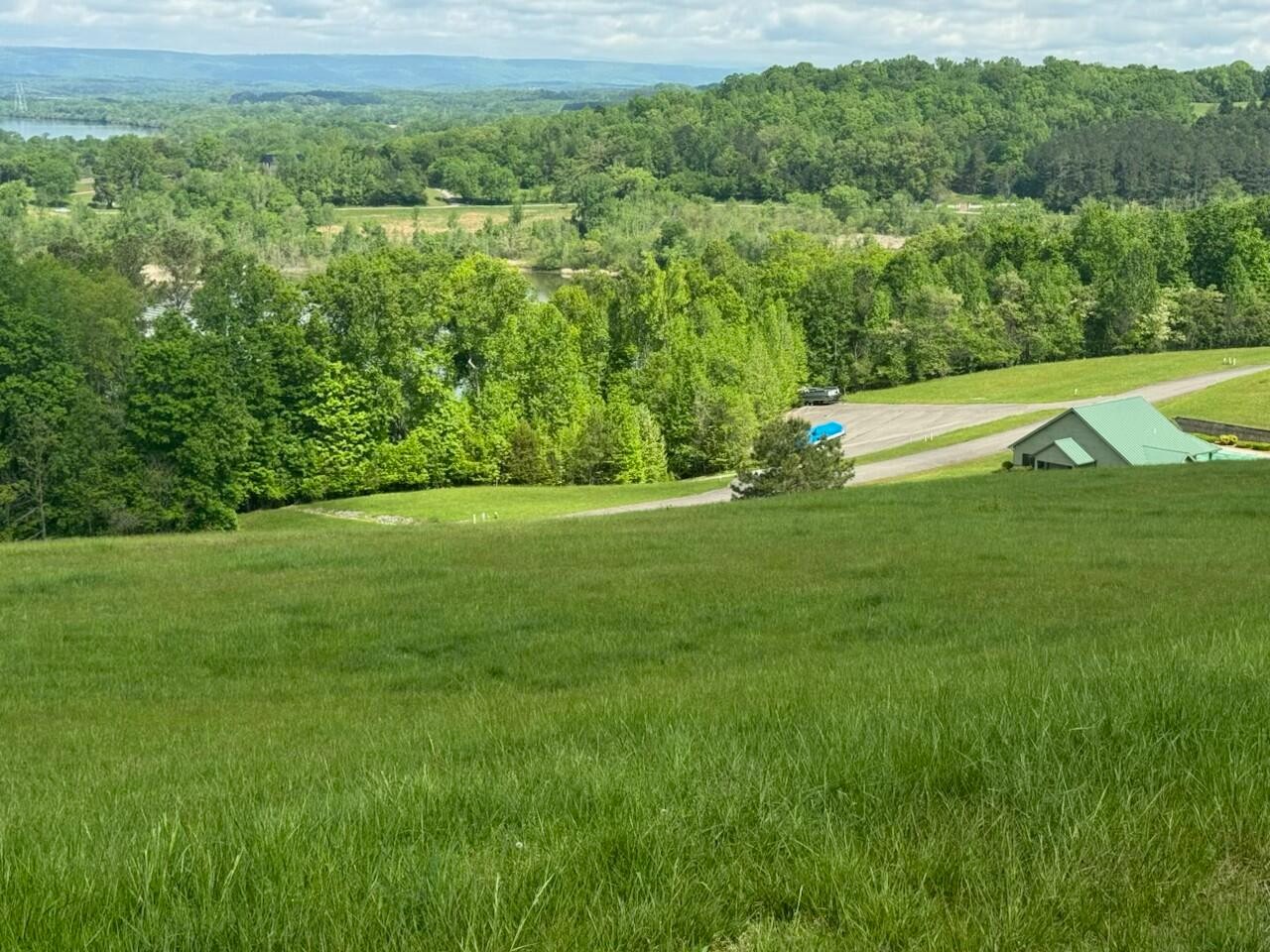 44 Hill Road Decatur, TN 37322 - Photo 3 of 11 a view of a green yard