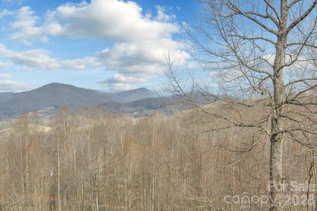 461 Arrowhead Ridge Road Spruce Pine, NC 28777 - Photo 40 of 42