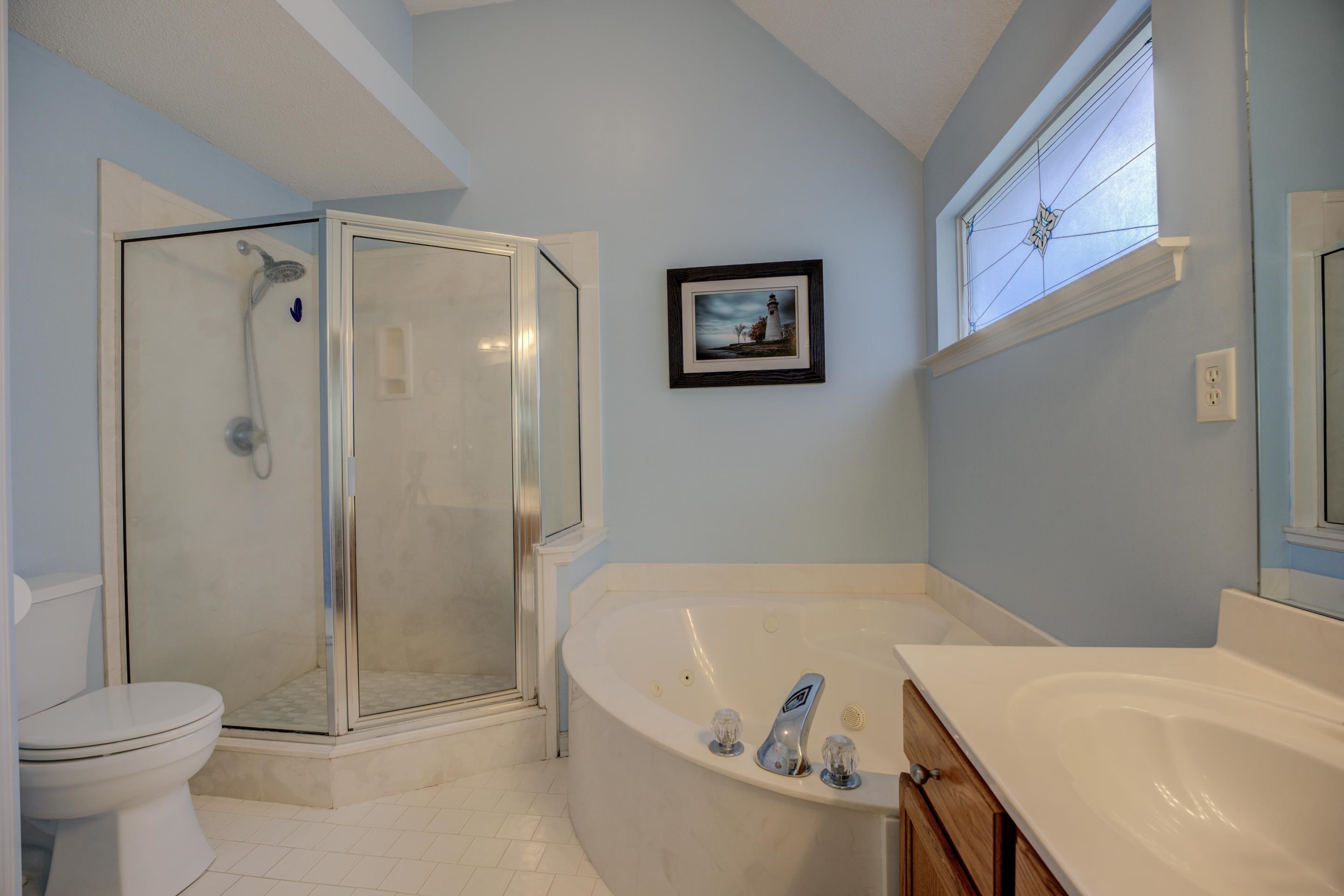 9696 Java Cove Memphis, TN 38002 - Photo 14 of 26 Come home after a hard day and take a steamy shower or a relaxing bubble bath.