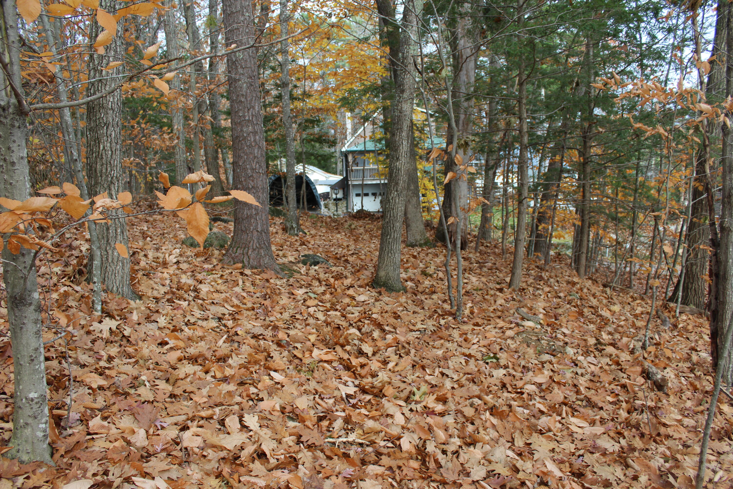 0 Harmony Road Casco, ME 04015 - Photo 3 of 12 IMG_5411