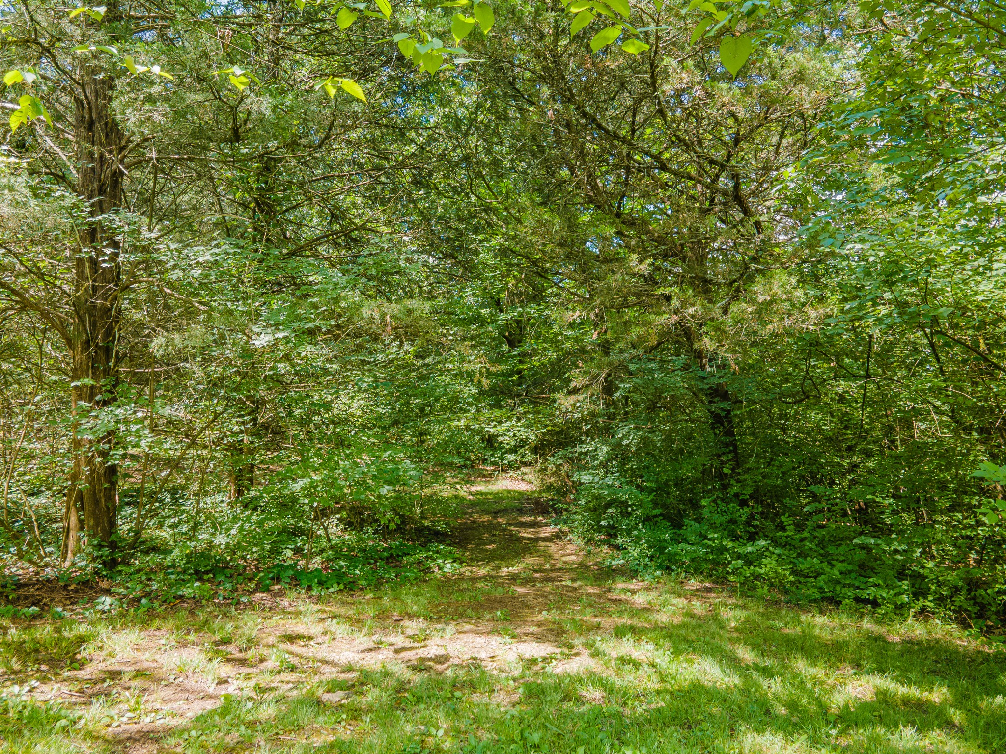 2981 Duplex Road Spring Hill, TN 37174 - Photo 7 of 37