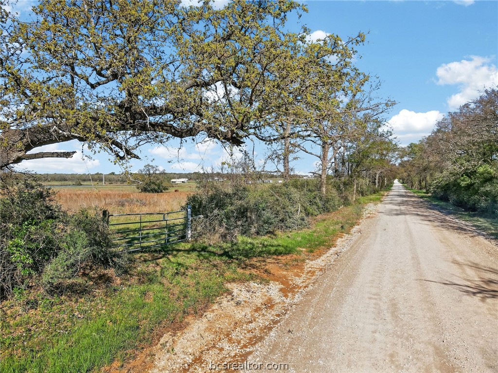 2534 Old Hickory Grove Road Franklin, TX 77856 - Photo 9 of 16 a view of a yard with large trees