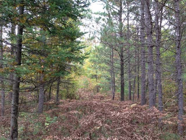 Lot 3 Cedar Falls Road Hazelhurst, WI 54531 - Photo 10 of 18 Gallery Image 10