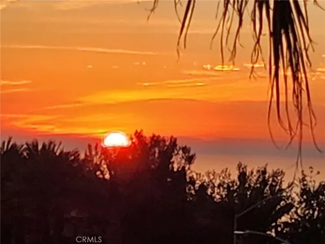 a couple of palm trees sitting in front of a building