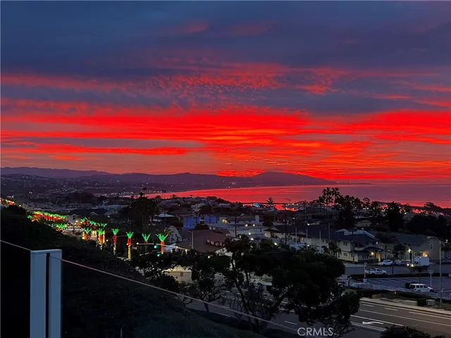 a view of a backyard of a house with a palm tree