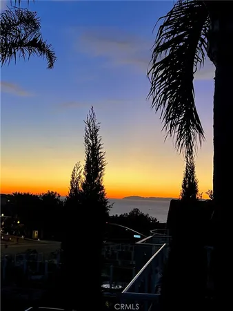 a view of a backyard of a house with a palm tree