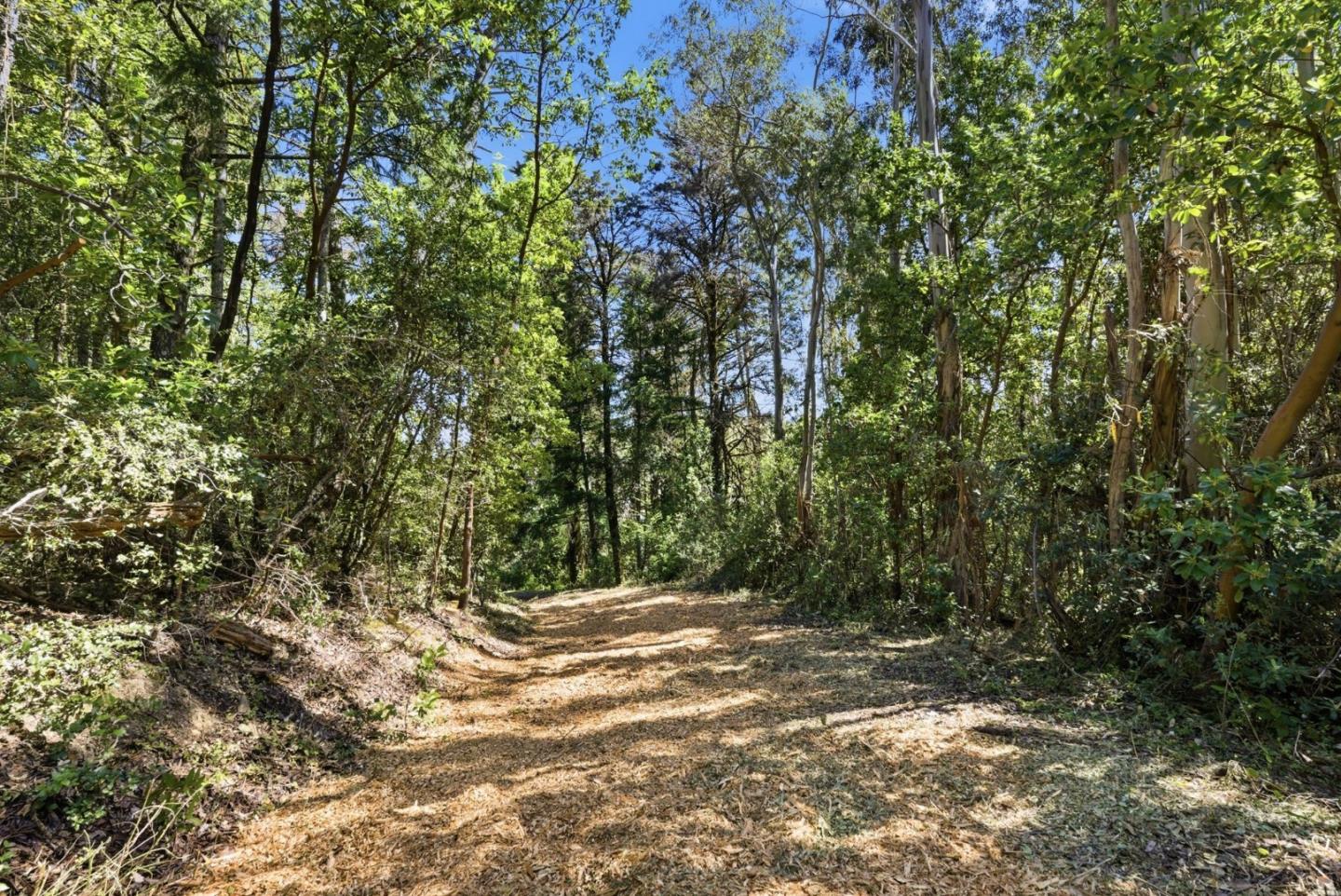 0 Page Mill Road Redwood City, CA 94062 - Photo 11 of 37