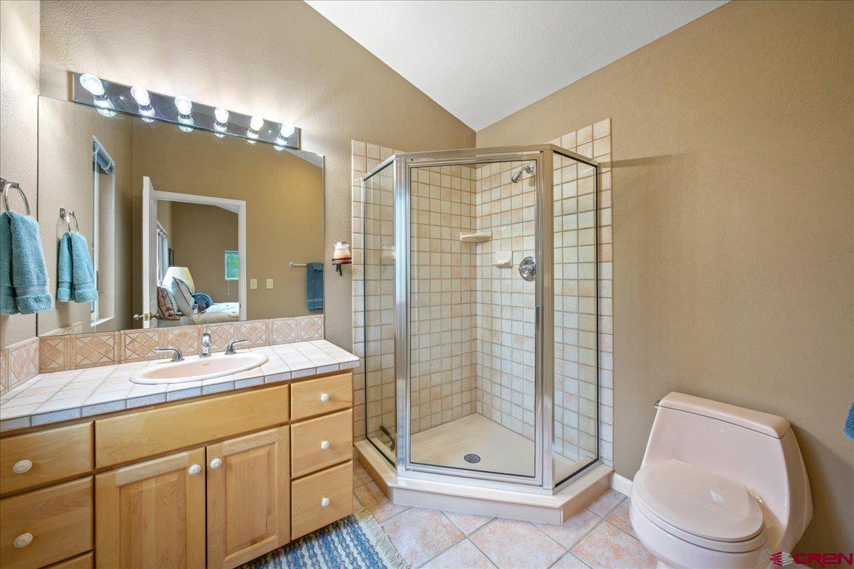 1600 Elk Ridge Trail Ridgway, CO 81432 - Photo 24 of 43 a bathroom with a shower sink vanity mirror and toilet