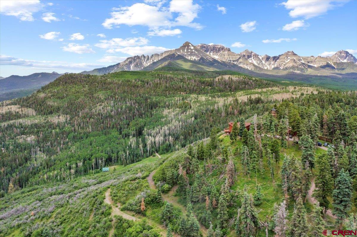 1600 Elk Ridge Trail Ridgway, CO 81432 - Photo 42 of 43 a view of a lush green forest with mountains in the background