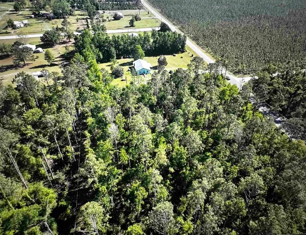 $31,000 | 0 Southeast Apache Avenue, Lee, FL 32059