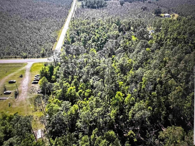 $31,000 | 0 Southeast Apache Avenue, Lee, FL 32059