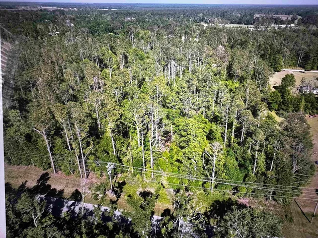 $31,000 | 0 Southeast Apache Avenue, Lee, FL 32059