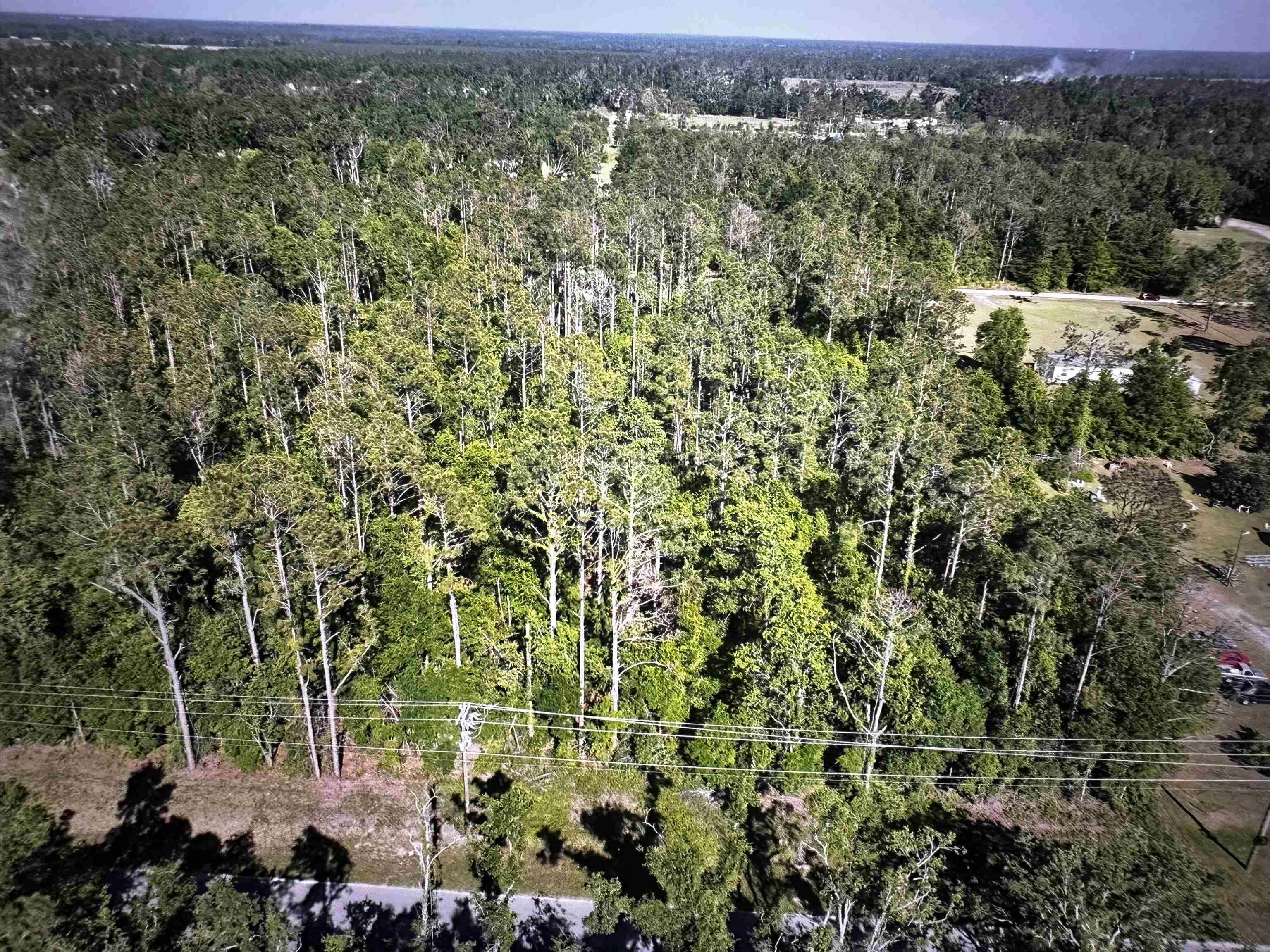 0 Southeast Apache Avenue Lee, FL 32059 - Photo 9 of 11