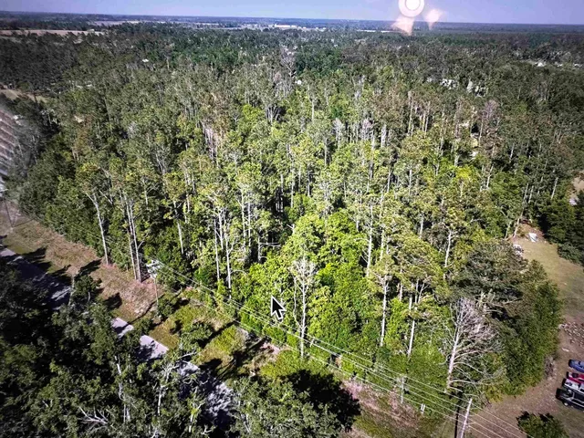 $31,000 | 0 Southeast Apache Avenue, Lee, FL 32059