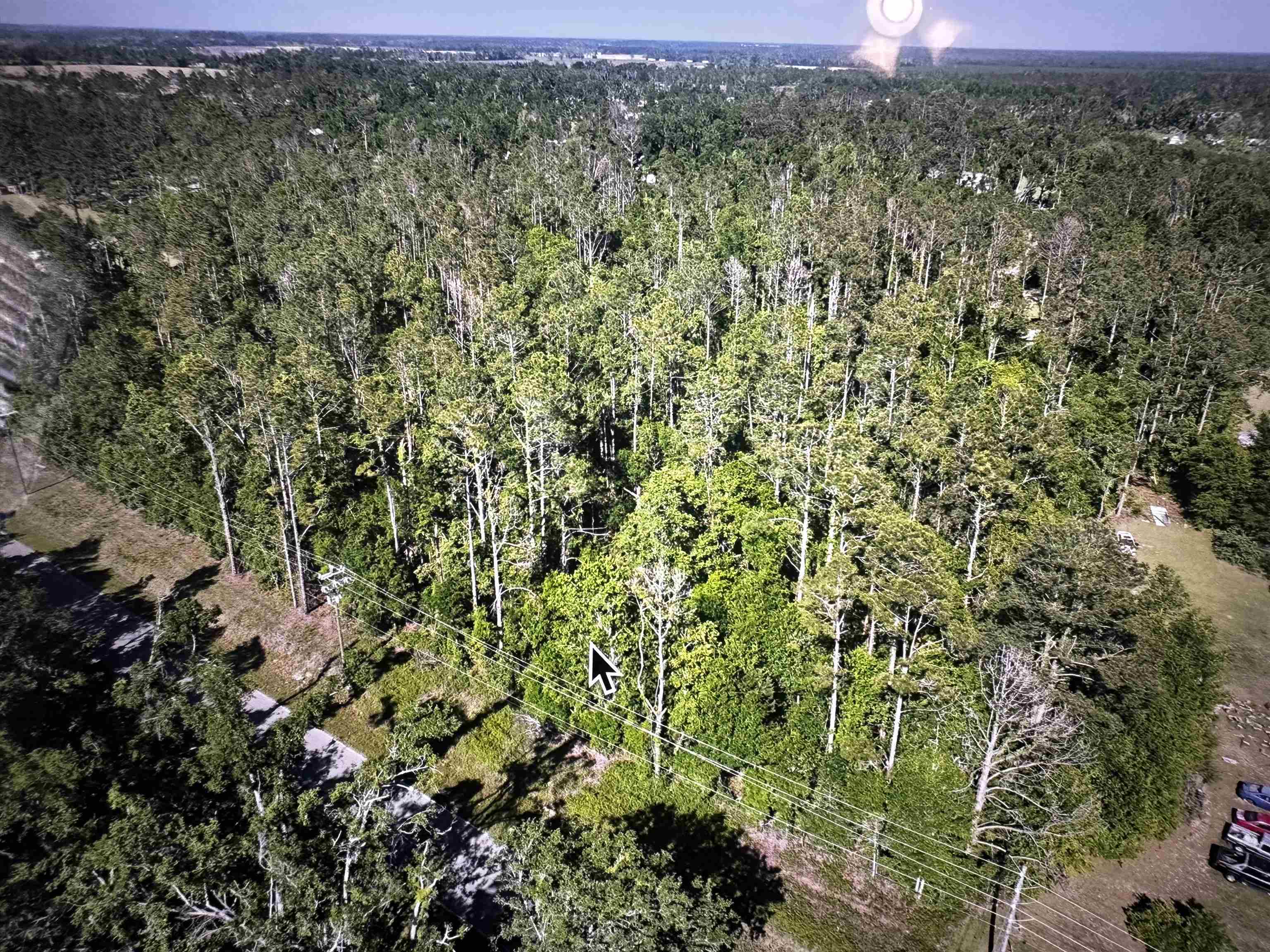 0 Southeast Apache Avenue Lee, FL 32059 - Photo 10 of 11