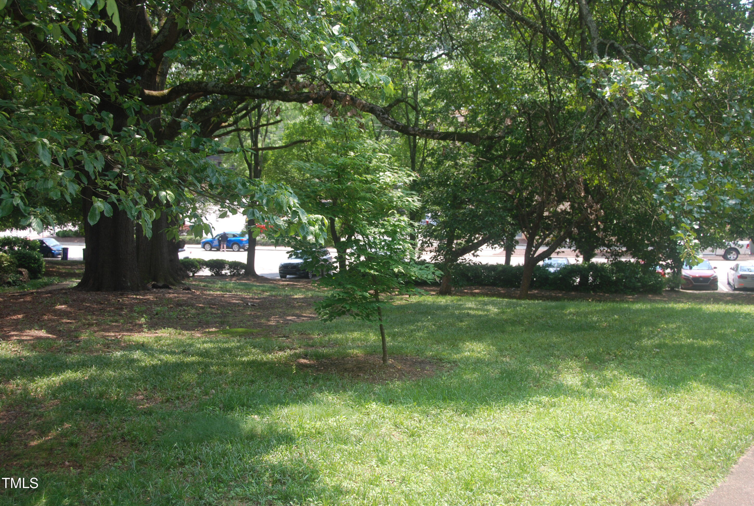 1908 Smallwood Drive Raleigh, NC 27605 - Photo 17 of 30 a view of a park that has large trees