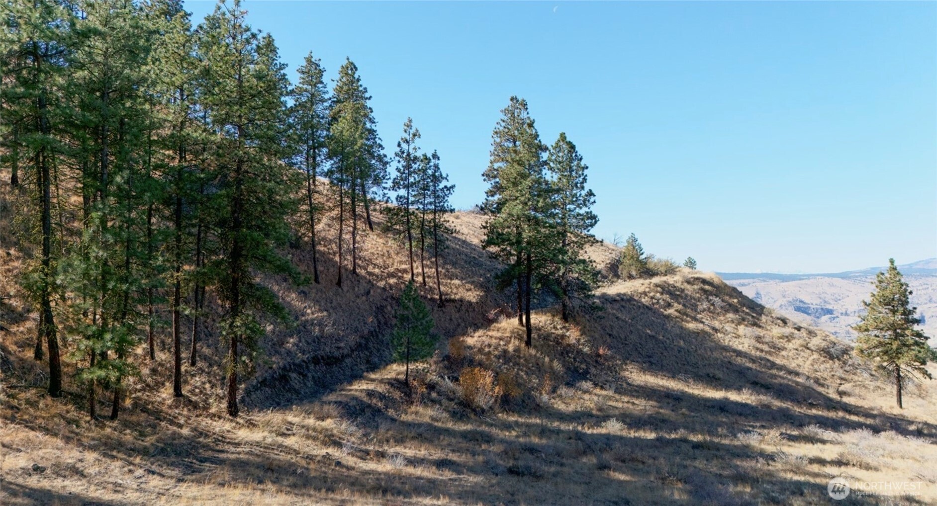 54 Wolf Holler Road Waterville, WA 98858 - Photo 7 of 14