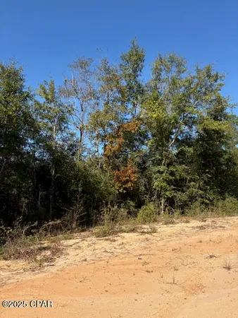 $10,500 | 0 Southern Boulevard, Unit LOT 27, Alford, FL 32420