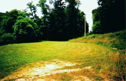 144 Ww Railroad Road Sycamore, PA 15364 - Photo 5 of 6