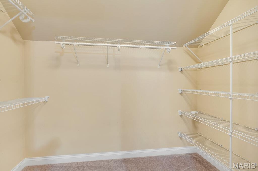 1233 Diamond Valley Drive High Ridge, MO 63049 - Photo 42 of 80