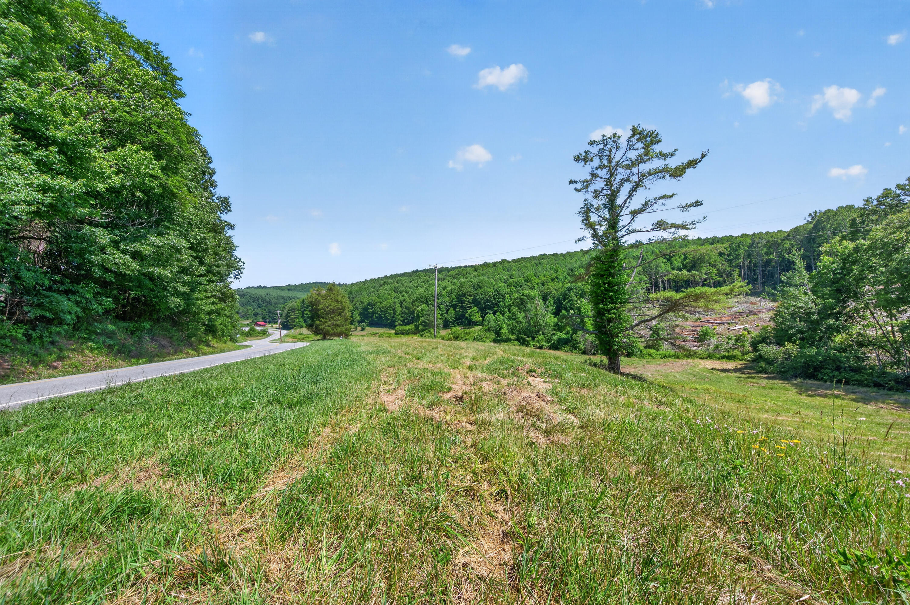 6196 Chances Creek Road Fancy Gap, VA 24328 - Photo 64 of 78 65