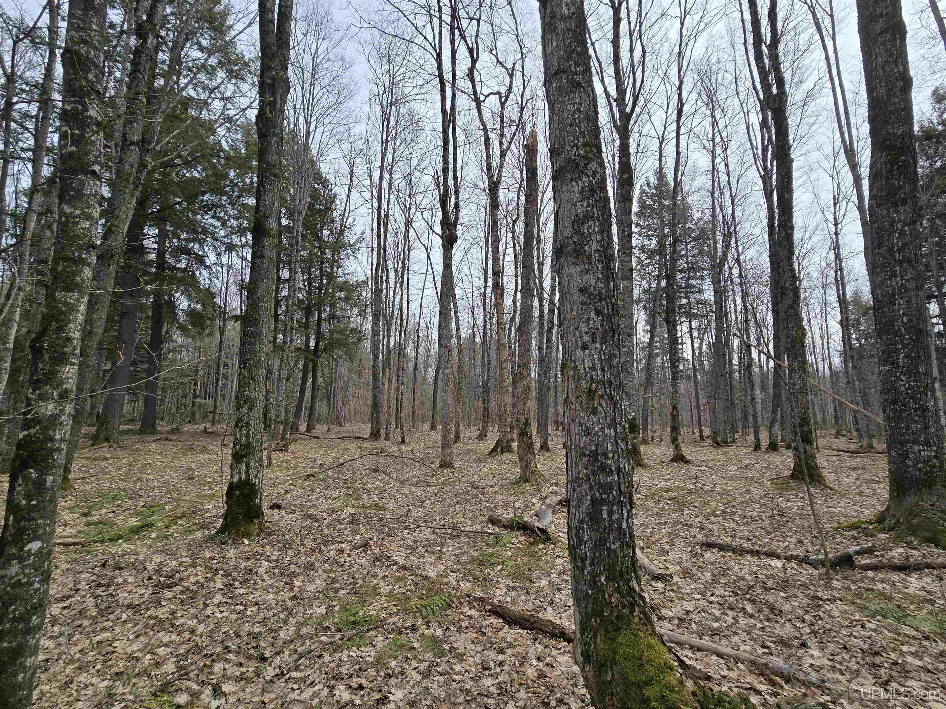 Tbd Orange Road, Unit TBD BLUE ROAD Pelkie, MI 49952 - Photo 27 of 49