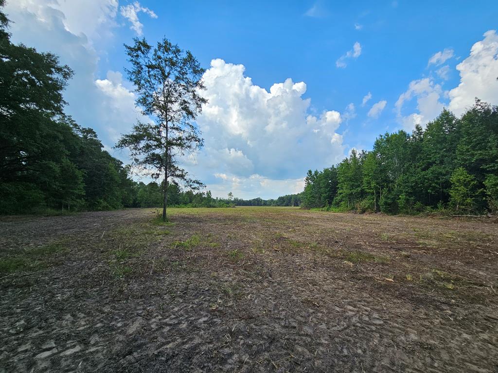 L5 New Hinson Road Slocomb, AL 36375 - Photo 10 of 23