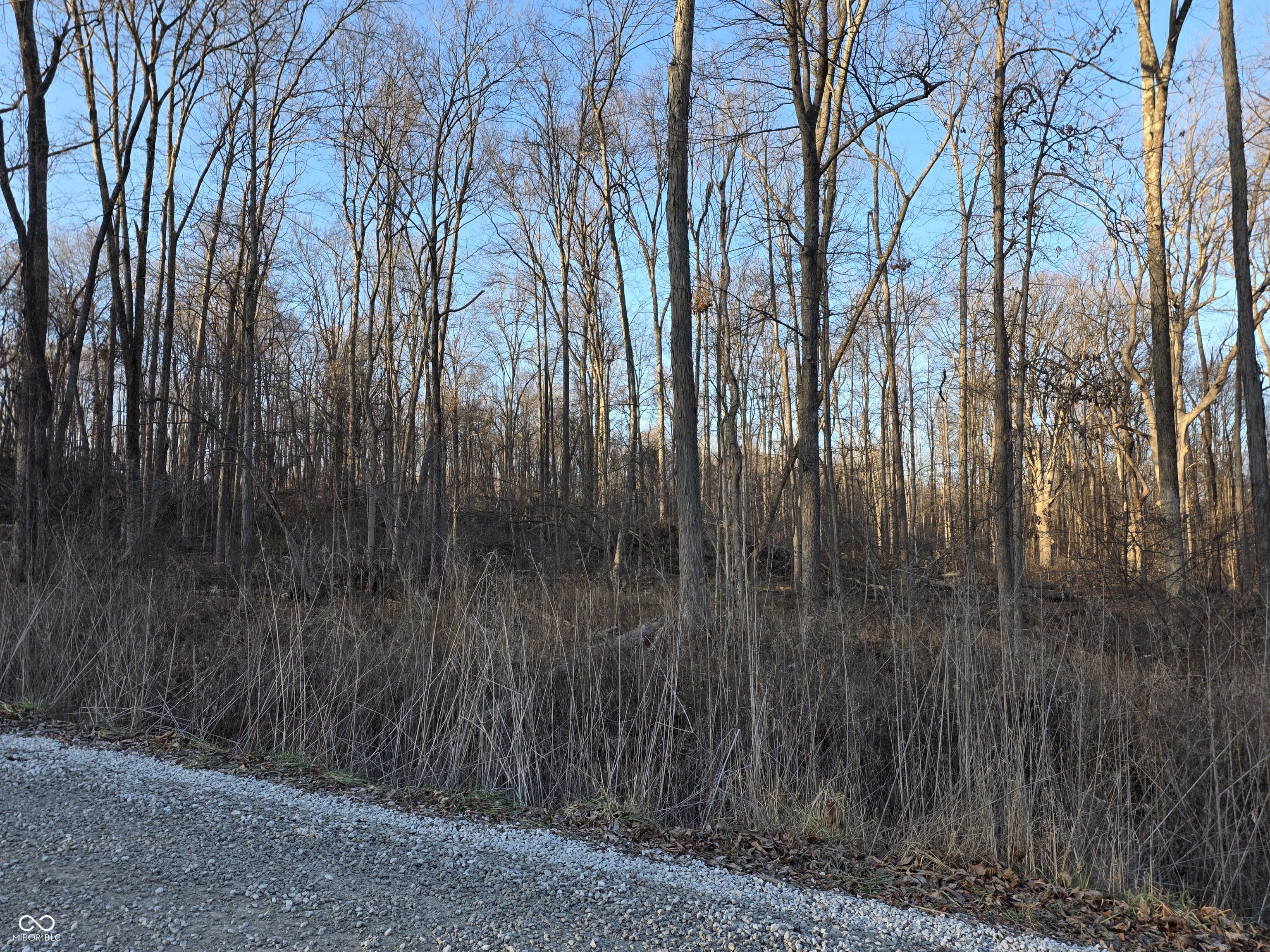 925 South County Rd 125 East Cloverdale, IN 46120 - Photo 4 of 10