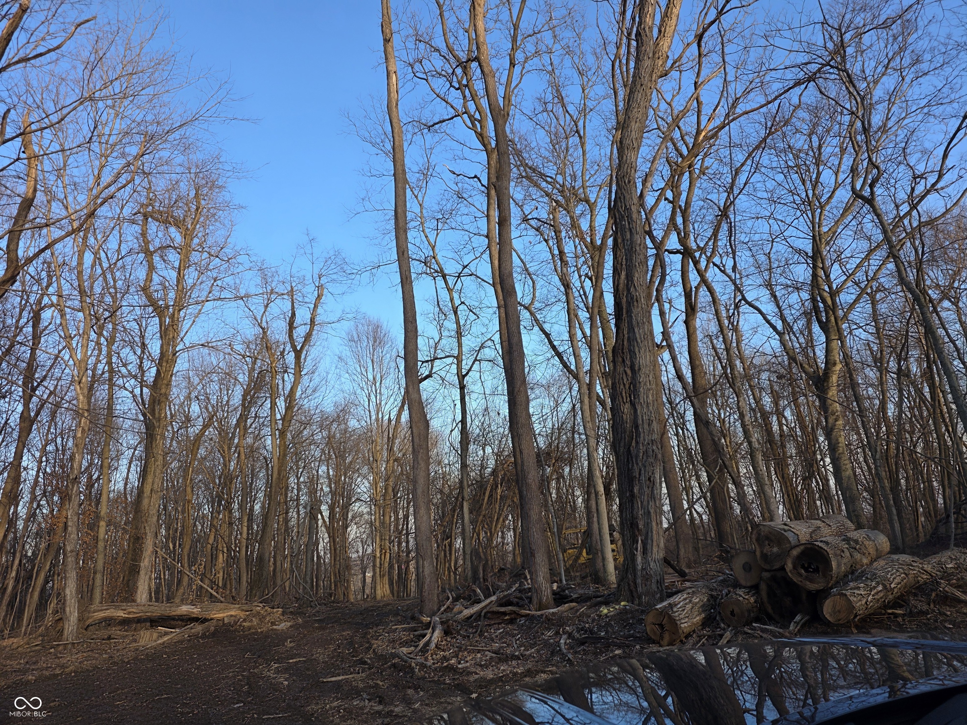 925 South County Rd 125 East Cloverdale, IN 46120 - Photo 8 of 10