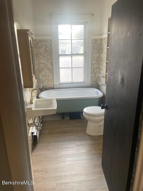 68 Cleveland Street North Adams, MA 01247 - Photo 12 of 26 thumbnail_IMG_5851