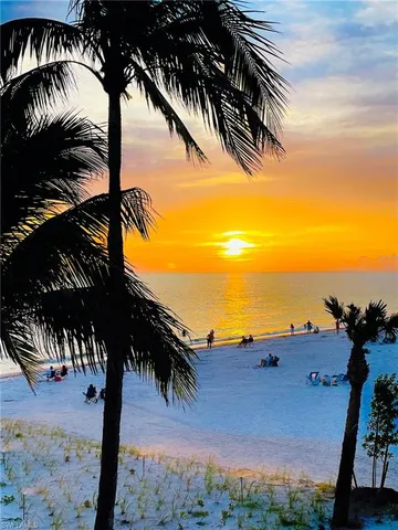 a view of a palm tree next to a yard