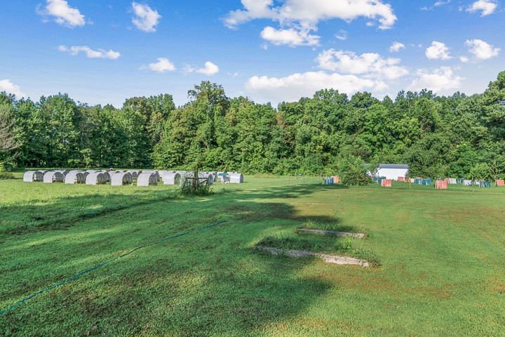 502 Rock Road Morrison, TN 37357 - Photo 14 of 44 a green field with lots of trees