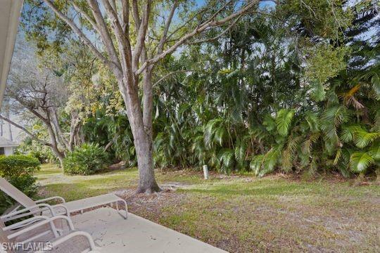 265 Yorkshire Court, Unit 8 Naples, FL 34112 - Photo 2 of 33 View of yard