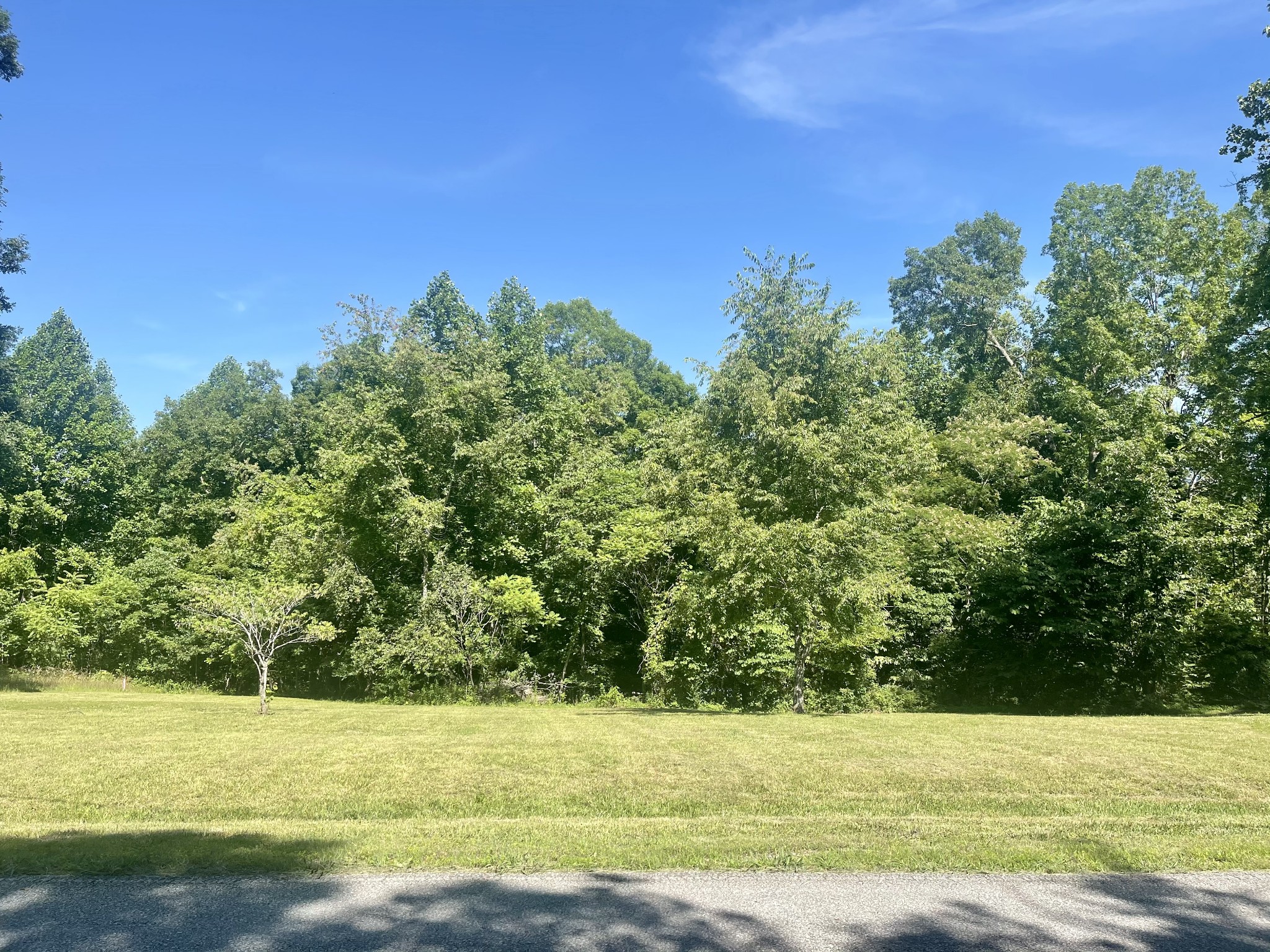 1088 Pack Road White Bluff, TN 37187 - Photo 1 of 15 Gallery Image 1
