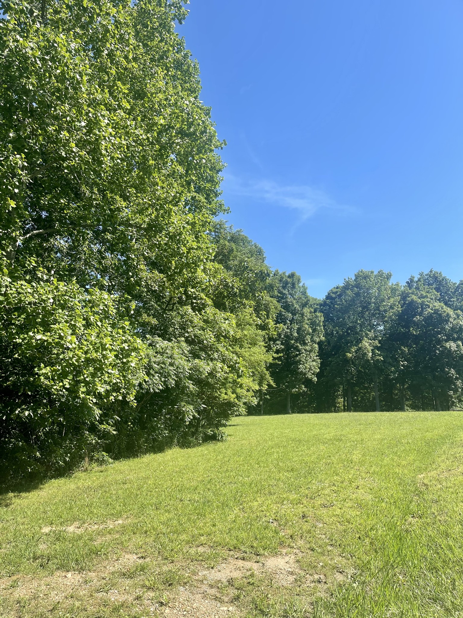 1088 Pack Road White Bluff, TN 37187 - Photo 2 of 15 Gallery Image 2
