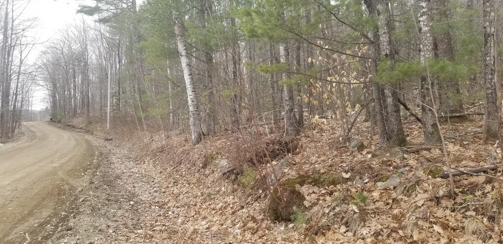 Lot 42-43 Adams Road Chesterville, ME 04938 - Photo 15 of 19 20230411_143732_resized