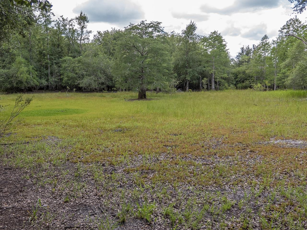 Vacant Southwest Hike Lake Road Madison, FL 32340 - Photo 22 of 35