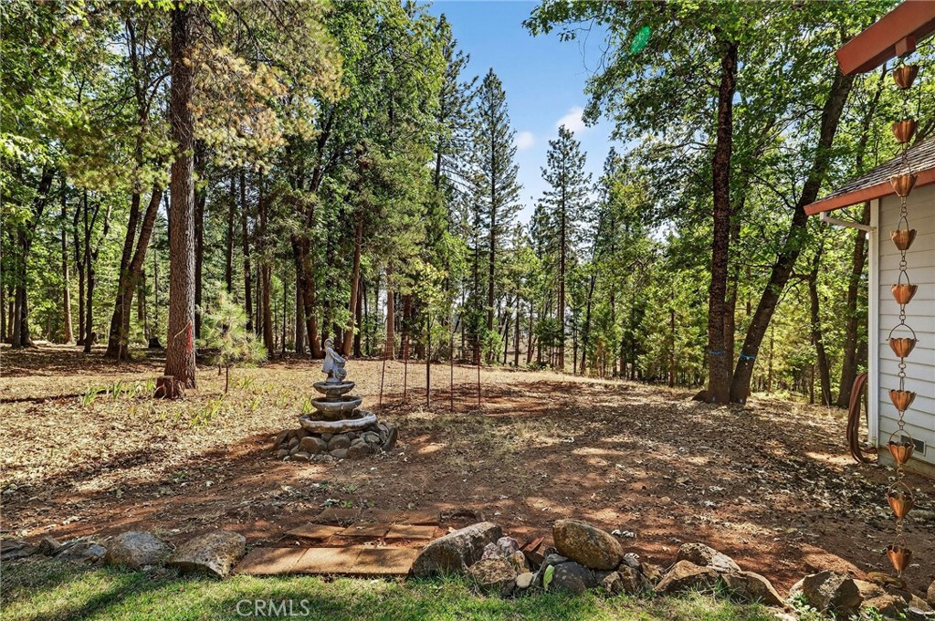 10202 Cohasset Road Chico, CA 95973 - Photo 51 of 75