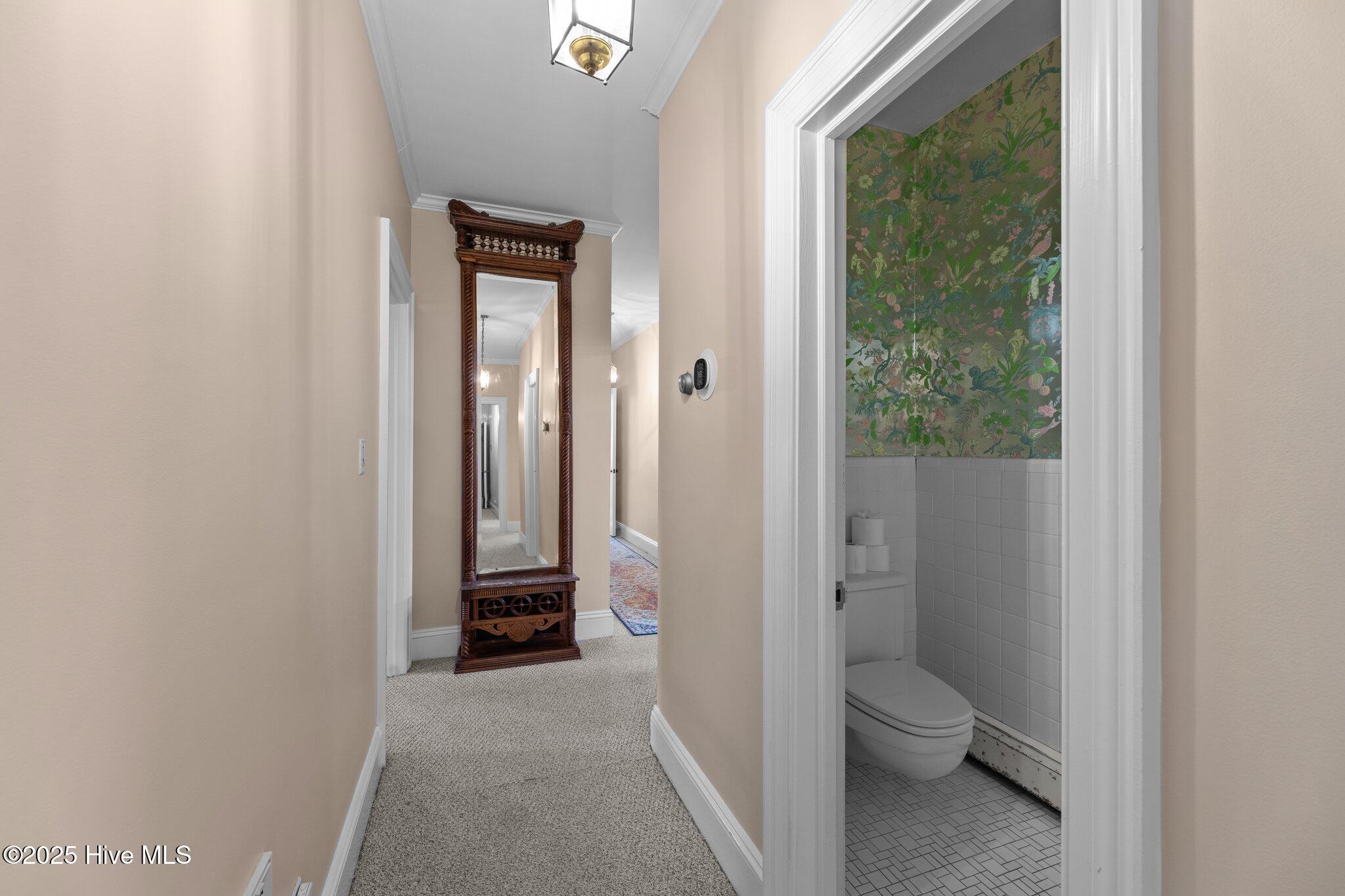 442 Whichards Beach Road Chocowinity, NC 27817 - Photo 17 of 79 Downstairs Hallway