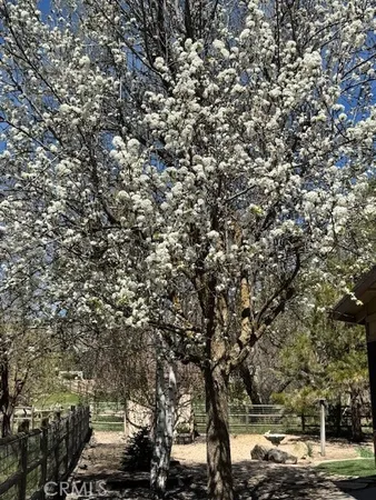 $439,000 | 30081 Jamaica Dunes Drive, Tehachapi, CA 93561