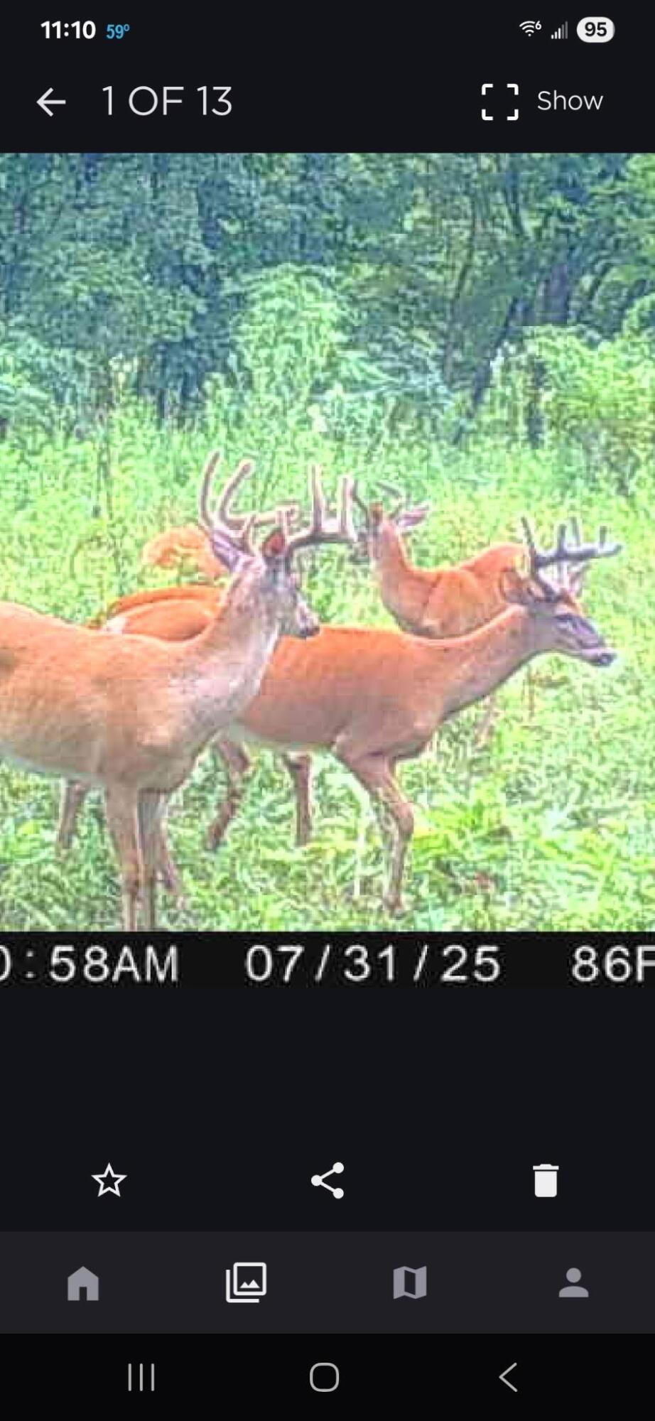 0 West Territorial Road Montgomery, MI 49255 - Photo 11 of 15 elmer12