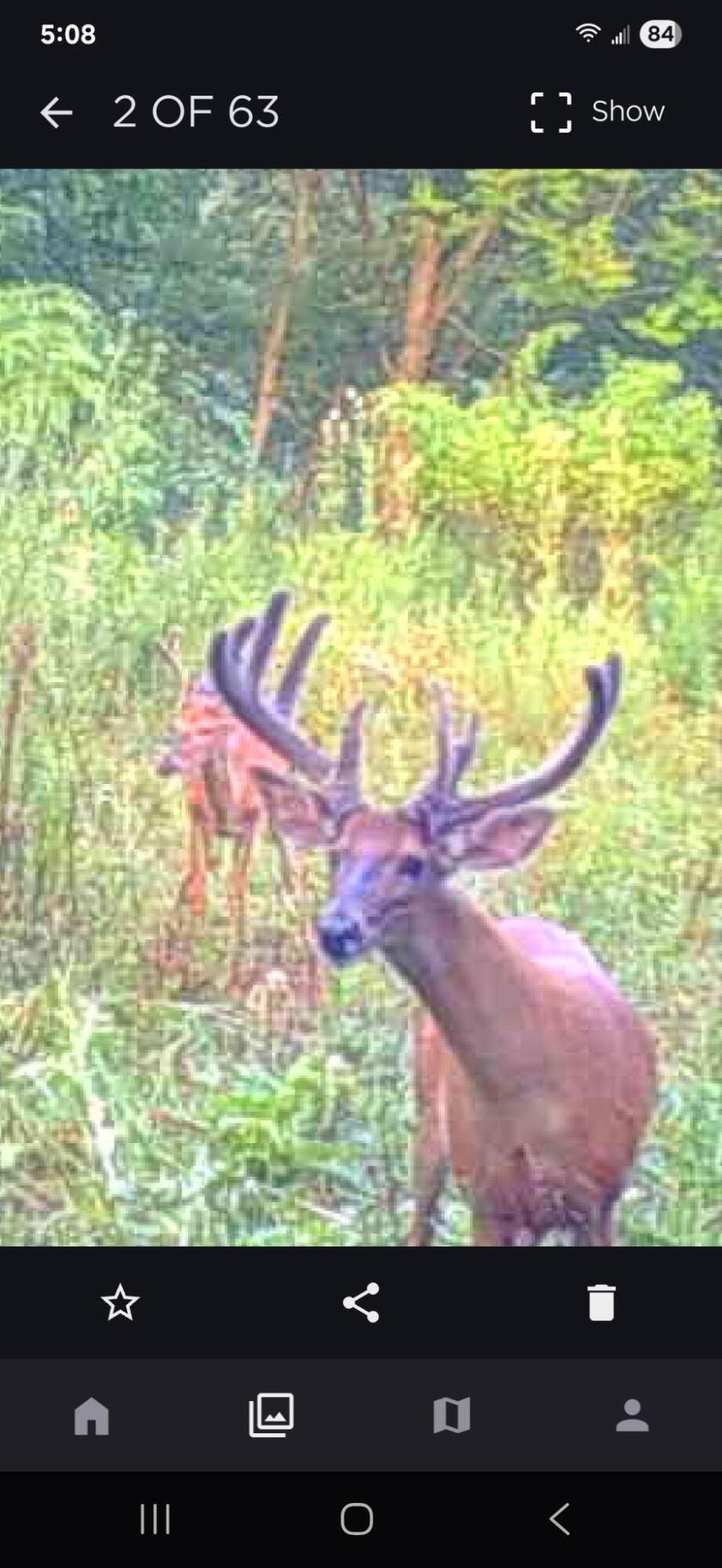 0 West Territorial Road Montgomery, MI 49255 - Photo 12 of 15 elmer13